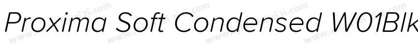 Proxima Soft Condensed W01BlkIt字体转换